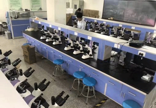 生物午夜精品女人A片爽爽免费.png