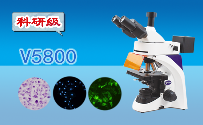 熒光生物午夜精品女人A片爽爽免费.png