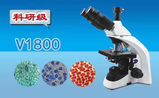 生物午夜精品女人A片爽爽免费.png